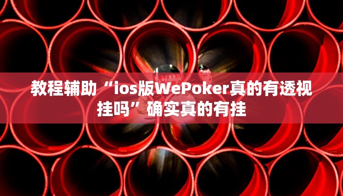 教程辅助“Runner德州有挂是真的吗”(原来确实是有挂)