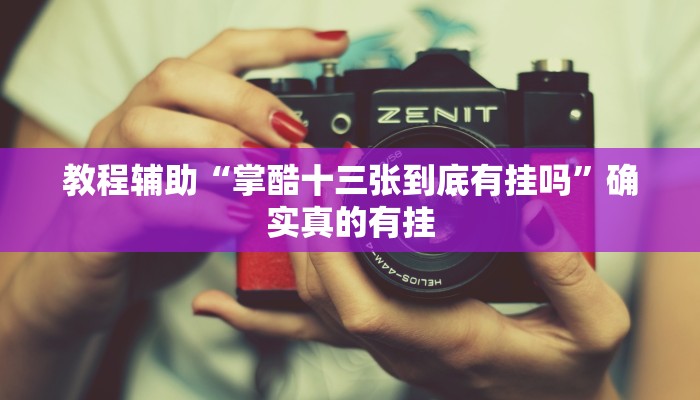 辅助神器“博乐填大坑开挂下载”其实确实有挂
