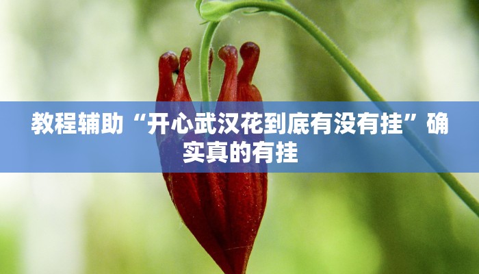 教程辅助“网易棋牌有挂嘛”(原来确实是有挂)