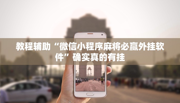 教程辅助“海港麻将挂”(原来确实是有挂)