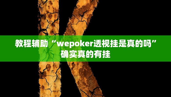 教程辅助“尽欢棋牌辅助开挂”(原来确实是有挂)