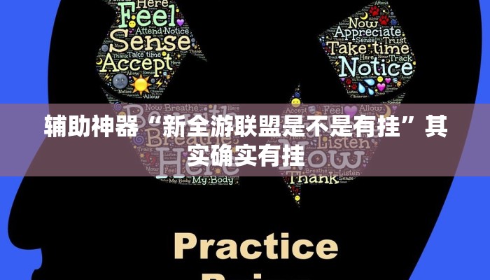 教程辅助“福建十三水万能辅助器”(原来确实是有挂)