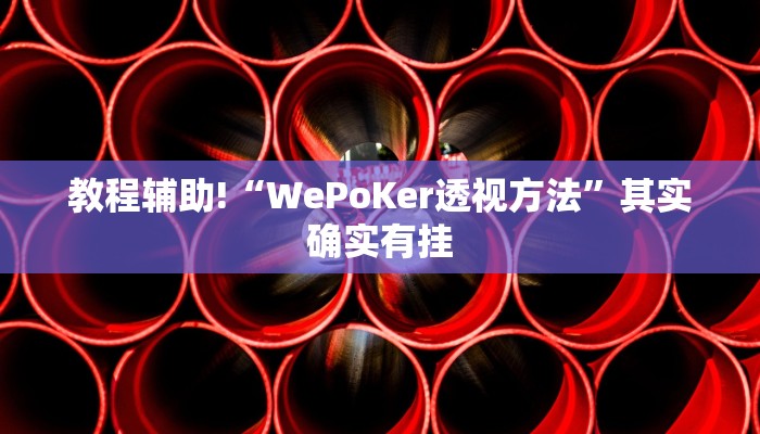 教程辅助!“微乐斗地主小程序透视下载”其实确实有挂