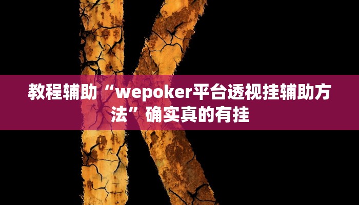 辅助神器“丰城双剑辅助器”其实确实有挂