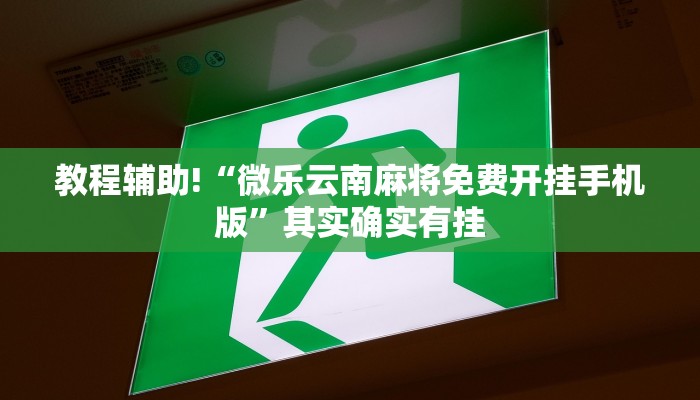 教程辅助“阳光岛牌乐汇怎么开挂”(原来确实是有挂)