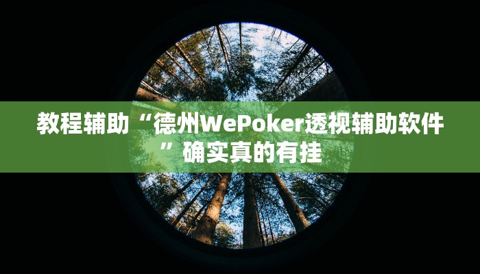 教程辅助“微乐窝龙开挂下载安装”(原来确实是有挂)