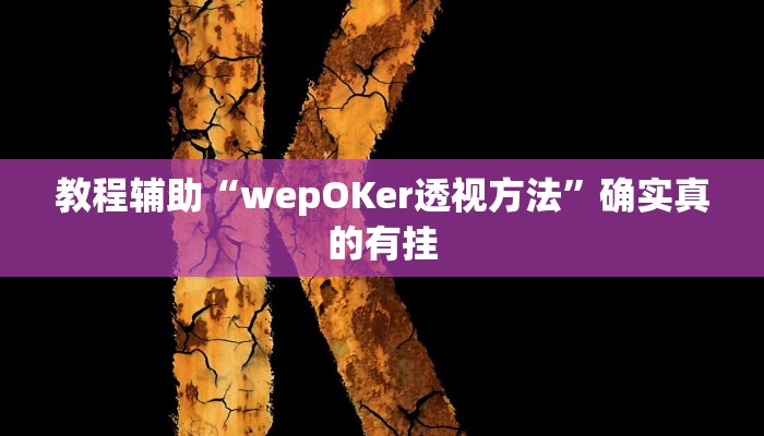 教程辅助““wpk透视挂是真的吗””确实真的有挂