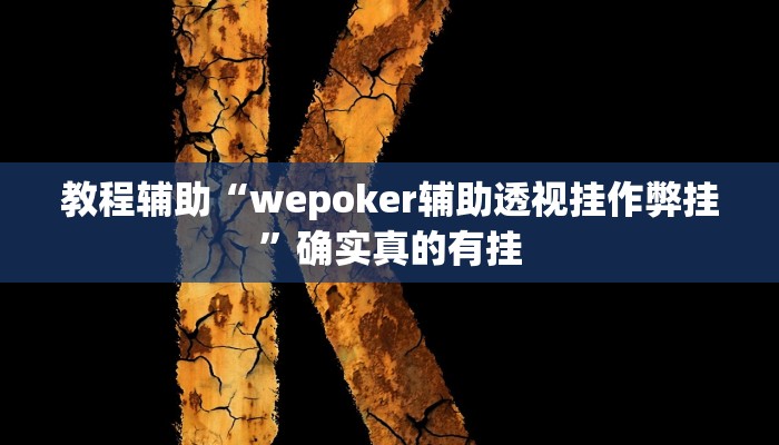 教程辅助“德扑之星私人局作弊详细”(原来确实是有挂)