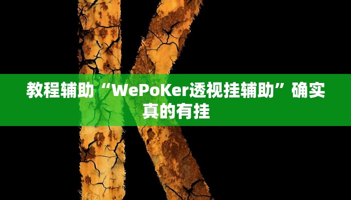教程辅助!“新海贝之城不是房主怎么开挂教程”其实确实有挂