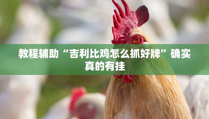 教程辅助“八喜休闲辅助外卦”确实真的有挂