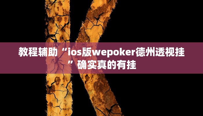 教程辅助“小程序跑得快开挂神器”(原来确实是有挂)
