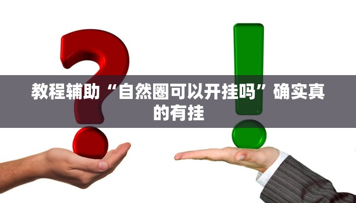 教程辅助“闲逸碰胡辅助神器”(原来确实是有挂)