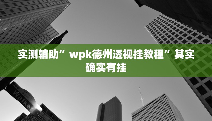 教程辅助“德扑之星透视作弊挂方法”确实真的有挂