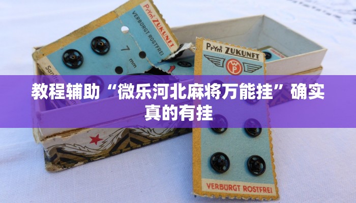 教程辅助“赣牌圈有没有挂天天输”(原来确实是有挂)