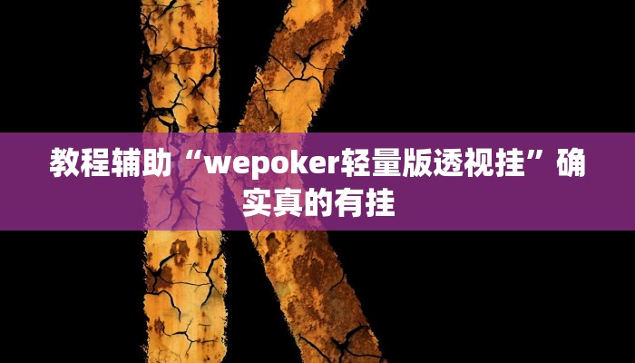 教程辅助“wepokerplus透视挂下载方法”确实真的有挂