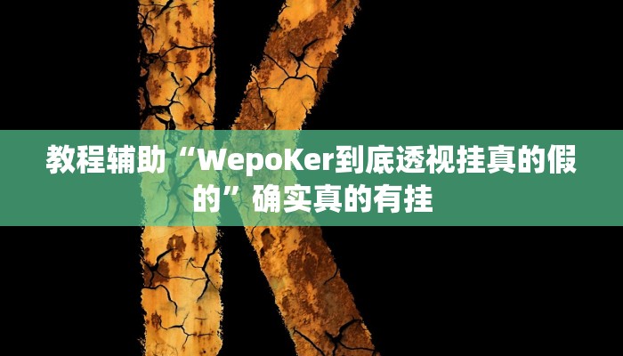 教程辅助“网易棋牌有挂吗”确实真的有挂