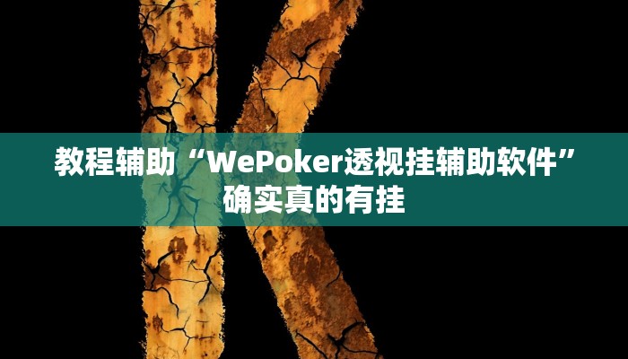 教程辅助“家乡大二作弊软件”确实真的有挂