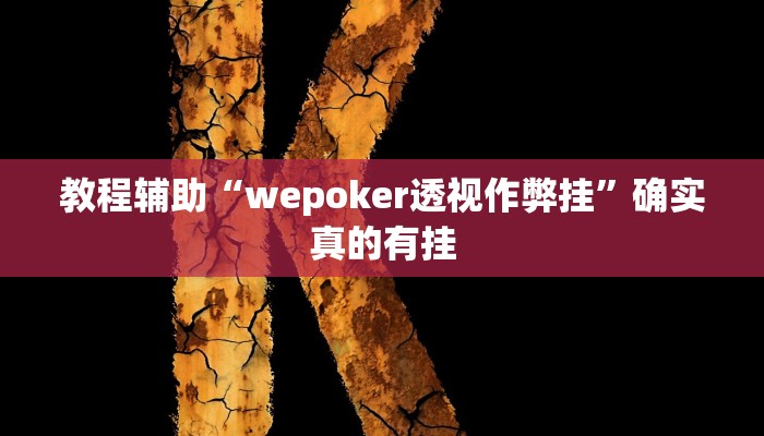 教程辅助“hhpoker透视脚本”(原来确实是有挂)