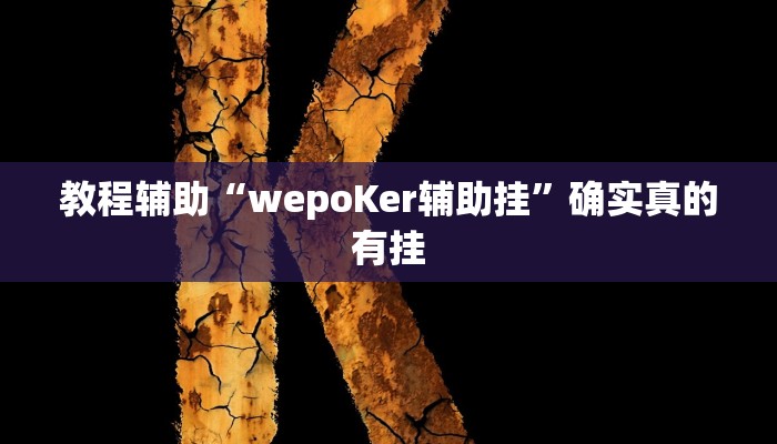 辅助神器“微乐辅助神器开挂教程”(详细开挂教程)