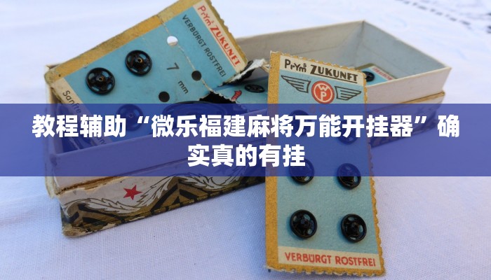 教程辅助“微乐家乡麻将小程序到底有没有挂”确实真的有挂
