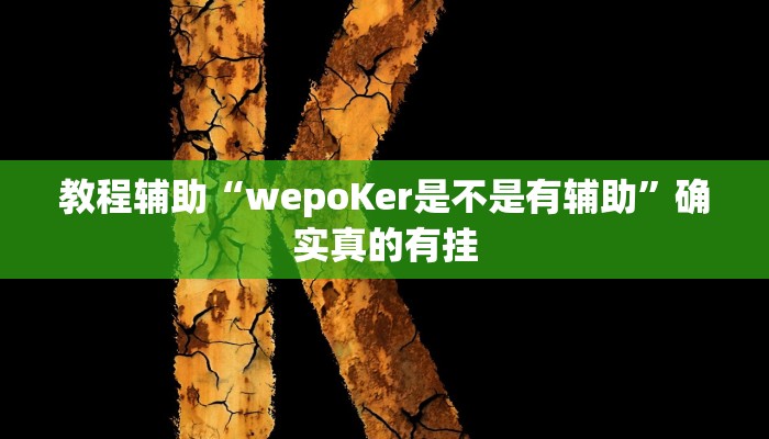 教程辅助“打哈儿麻将开挂方法”(原来确实是有挂)