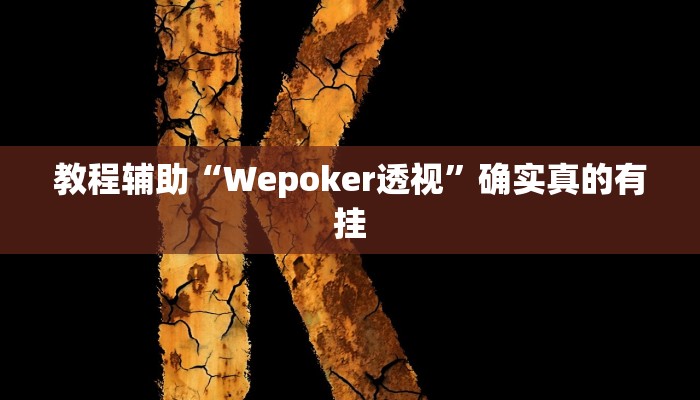 实测辅助”非物质娱乐可以开挂吗”其实确实有挂