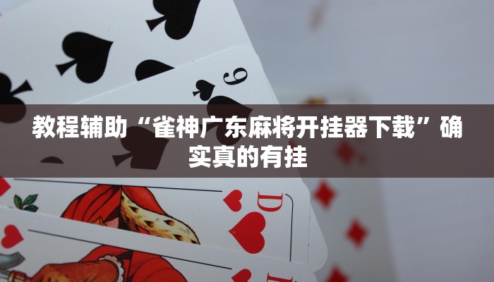 教程辅助“途游四川麻将外卦神器是不是真的”(原来确实是有挂)
