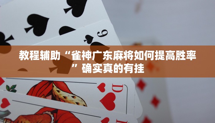 教程辅助“智星德州菠萝可以开挂吗”(原来确实是有挂)