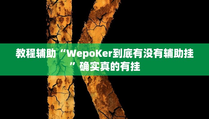 教程辅助“四川游戏家园断勾卡免费的开挂”(原来确实是有挂)