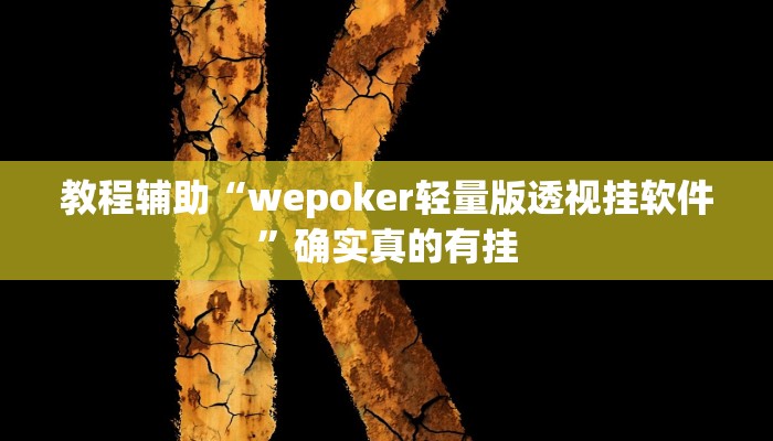 教程辅助“runner德州能开挂透视辅助软件”确实真的有挂