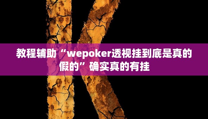 教程辅助“aapoker透视”确实真的有挂