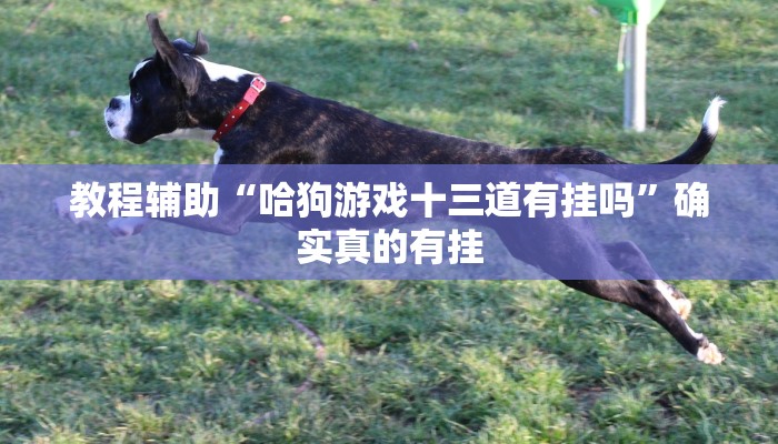 教程辅助“微乐广东麻将开挂”(原来确实是有挂)
