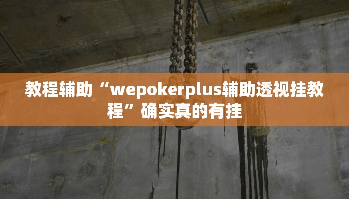 教程辅助“wepokerplus辅助透视挂教程”确实真的有挂