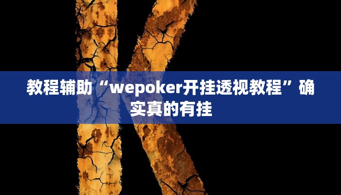 教程辅助“德扑之星辅助挂作弊透视方法”确实真的有挂