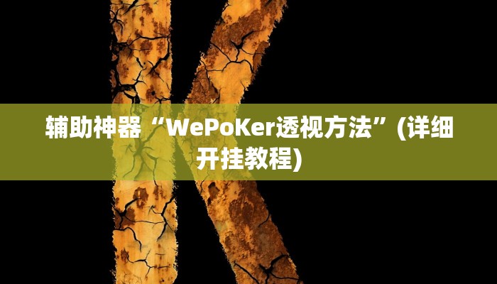 辅助神器“WePoKer透视方法”(详细开挂教程)