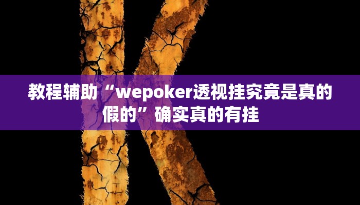 教程辅助“竞咪21点详细开挂辅助”确实真的有挂