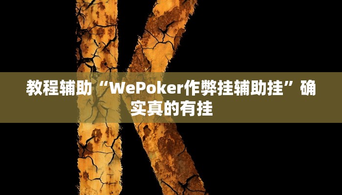 教程辅助“(wepoker)德州透视挂作弊辅助方法”确实真的有挂