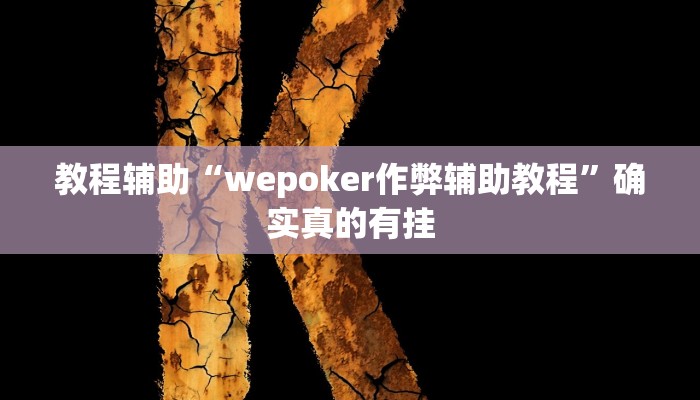 教程辅助“wepoker作弊辅助教程”确实真的有挂