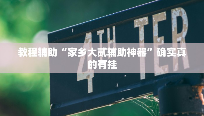 教程辅助“家乡大贰辅助神器”确实真的有挂