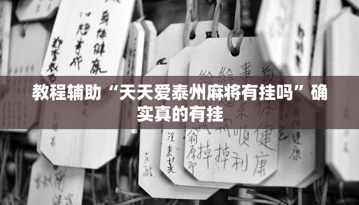 教程辅助“博雅地方棋牌开挂教程”(原来确实是有挂)