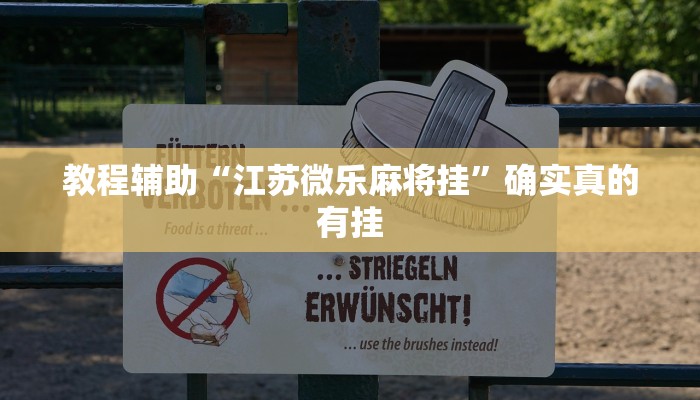 教程辅助“新珊瑚大厅透视挂”确实真的有挂