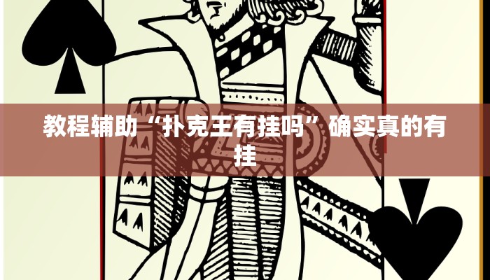 教程辅助“扑克王有挂吗”确实真的有挂
