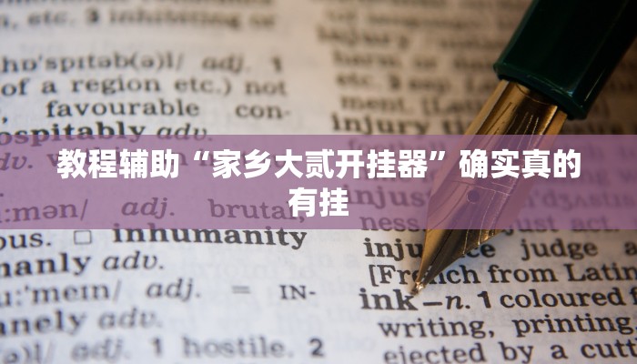教程辅助“家乡大贰开挂器”确实真的有挂