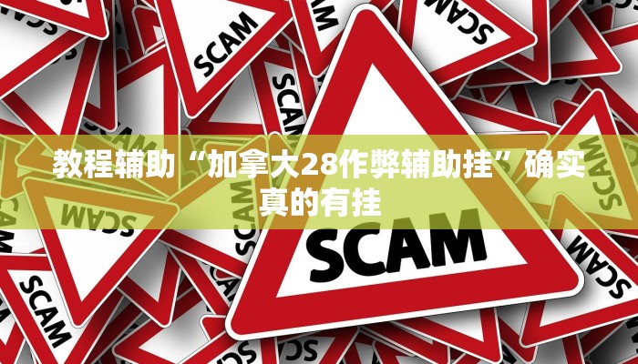教程辅助“加拿大28作弊辅助挂”确实真的有挂