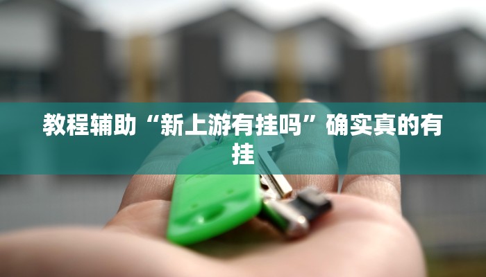 教程辅助“新上游有挂吗”确实真的有挂