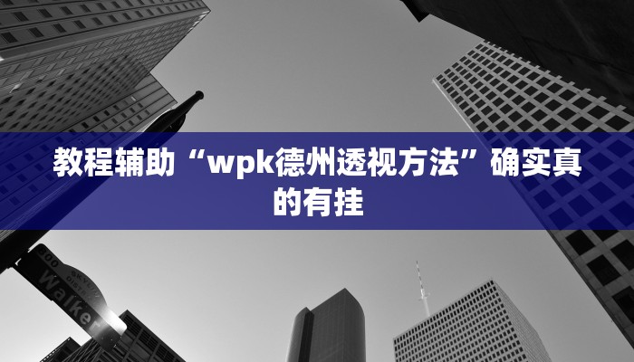 教程辅助“wpk德州透视方法”确实真的有挂
