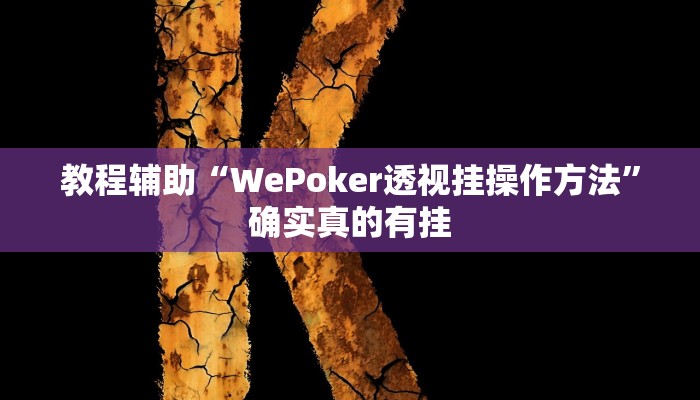 教程辅助“口袋上饶通用挂”(原来确实是有挂)