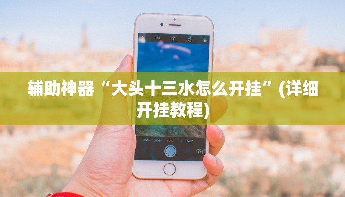 辅助神器“大头十三水怎么开挂”(详细开挂教程)