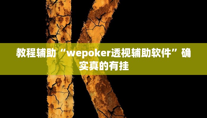 教程辅助“wepoker透视辅助软件”确实真的有挂
