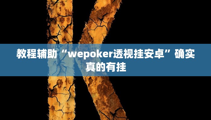 教程辅助“wepoker透视挂安卓”确实真的有挂